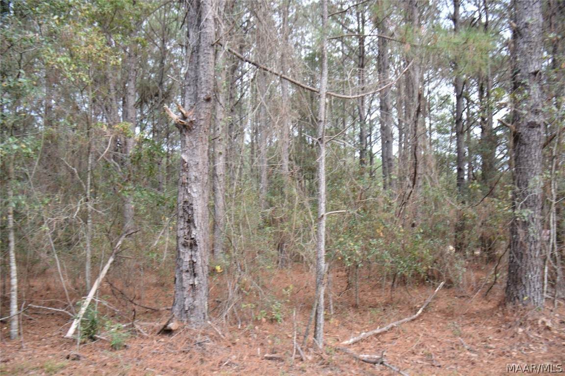 Lot 1 Highway 134 - Photo 1