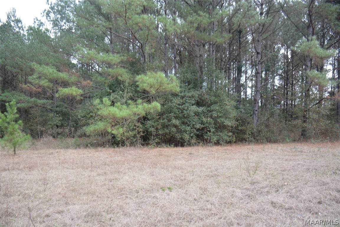 Lot 2 Highway 134 - Photo 1