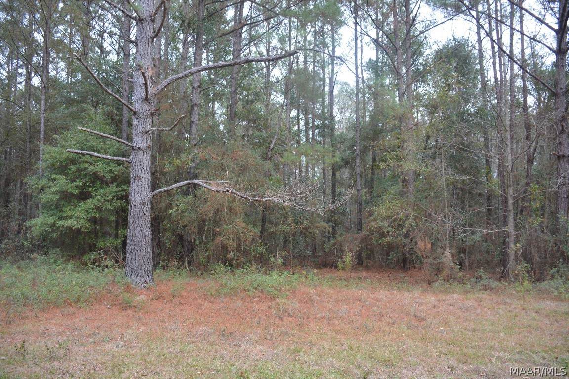 Lot 3 Highway 134 - Photo 1