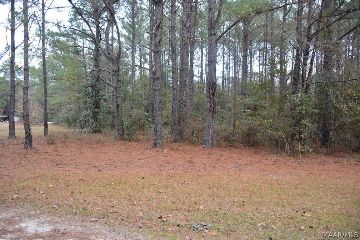Lot 4 Highway 134 - Photo 1