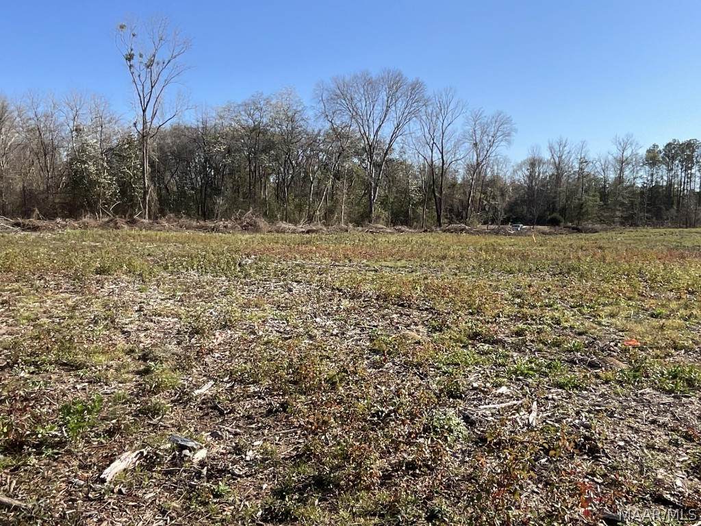Lot 9 County Road 37 Road - Photo 1
