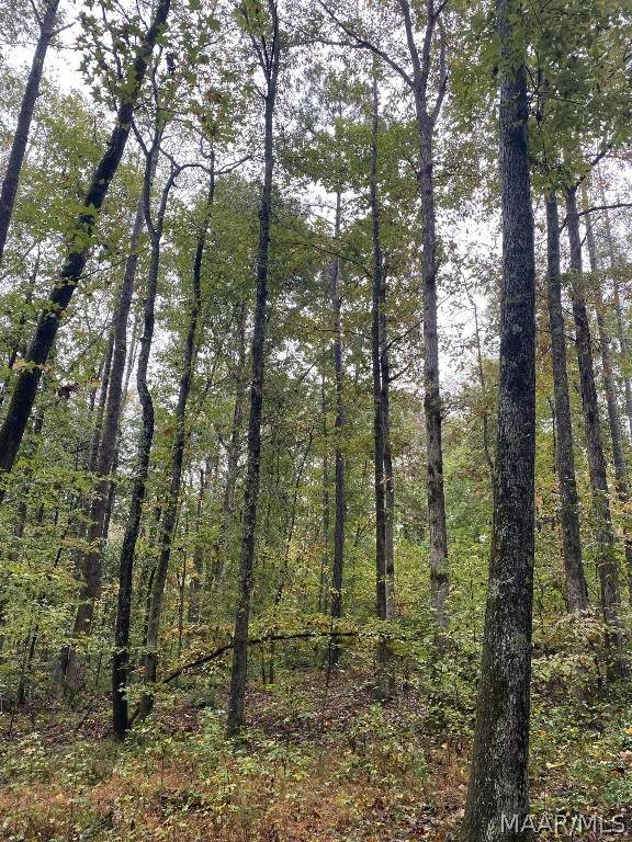 Lot 18 County Road - Photo 1