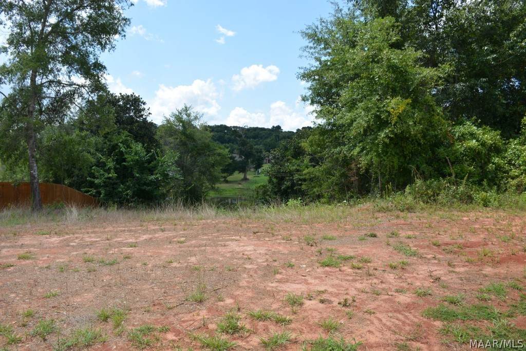 TBD Freedom Heights - Photo 1