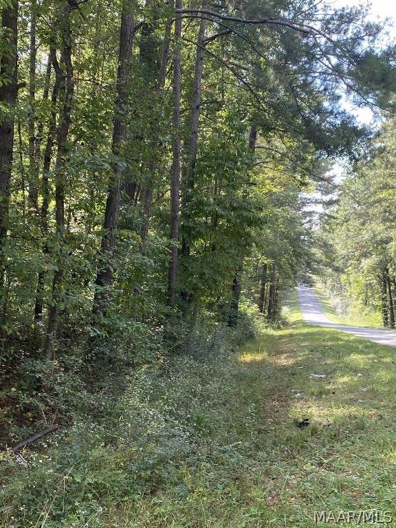Lot 21&22 Robinson Road - Photo 1