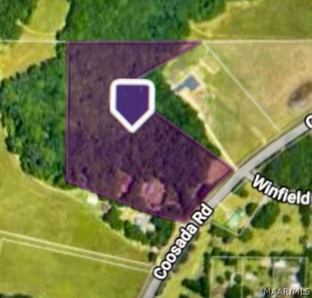 001 Coosada Road - Photo 1