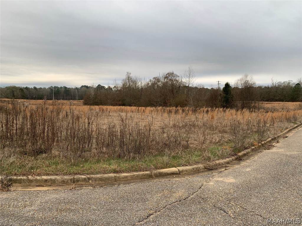 201 Park Place - Photo 1