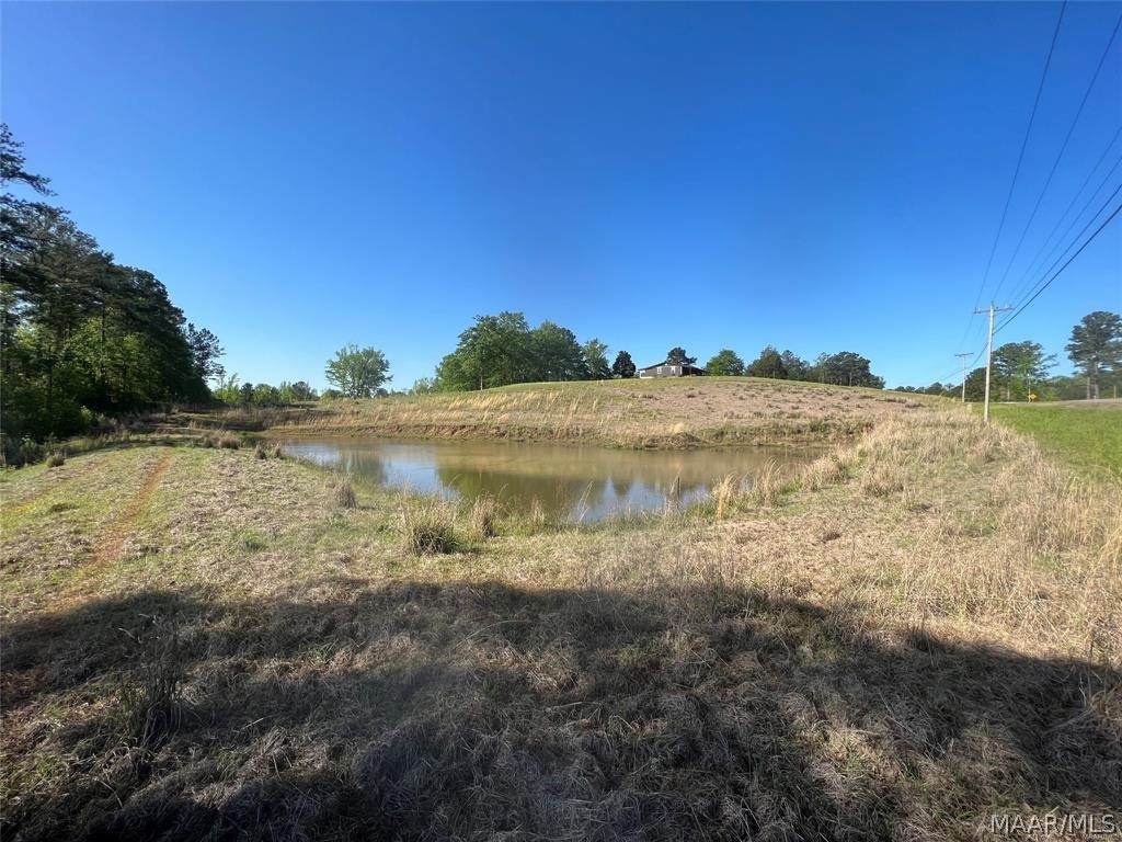 77956 Tallassee Highway - Photo 1