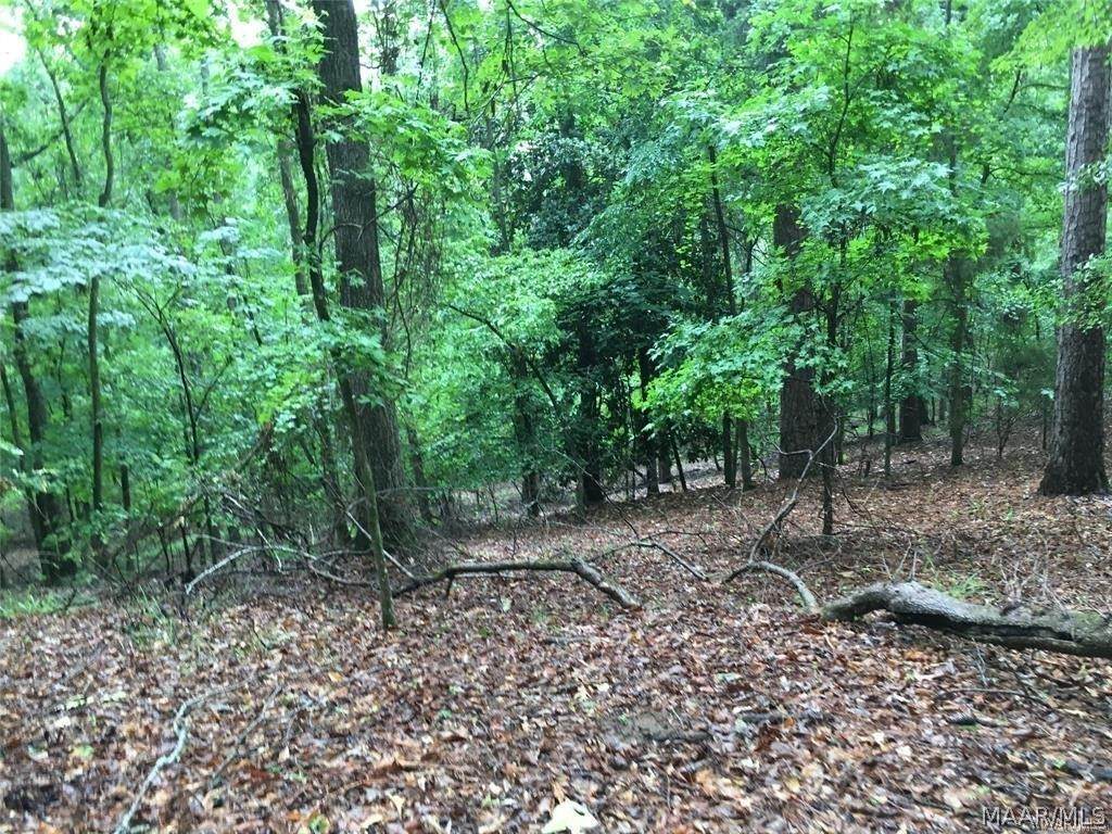 0 Jasmine Hill Road - Photo 1