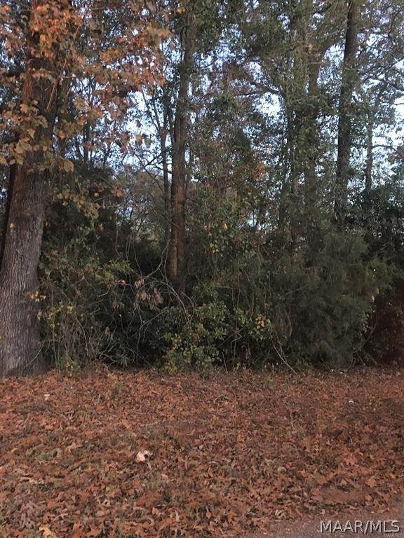 0 Pinecrest Street - Photo 1