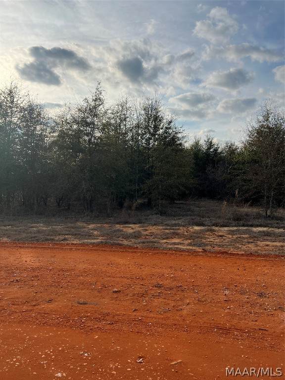 Lot 21 Deer Loop - Photo 1