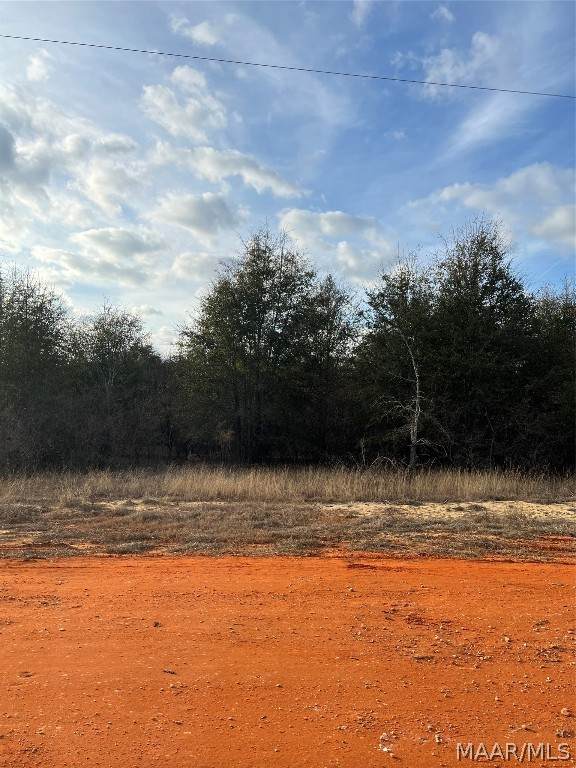 Lot 22 Deer Loop - Photo 1