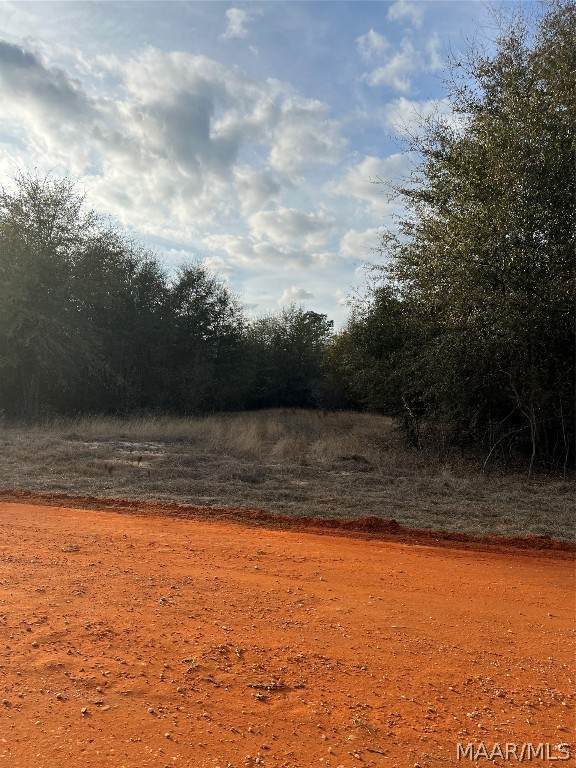 Lot 23 Deer Loop - Photo 1
