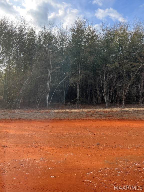 Lot 24 Deer Loop - Photo 1