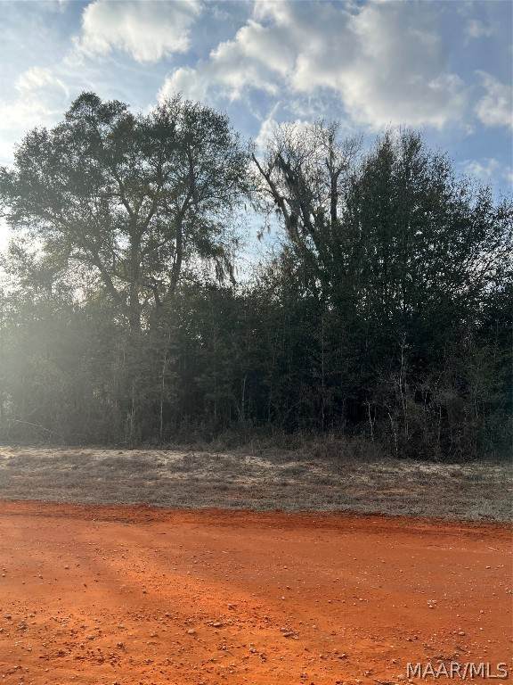 Lot 35 Deer Loop - Photo 1