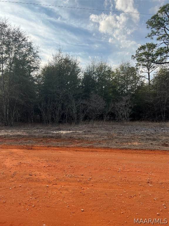Lot 36 Deer Loop - Photo 1