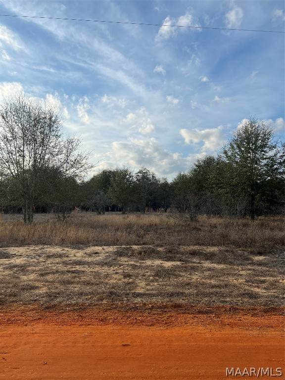 Lot 41 Deer Loop - Photo 1
