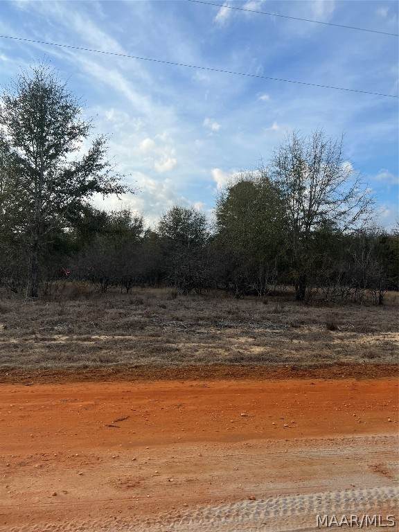 Lot 42 Deer Loop - Photo 1