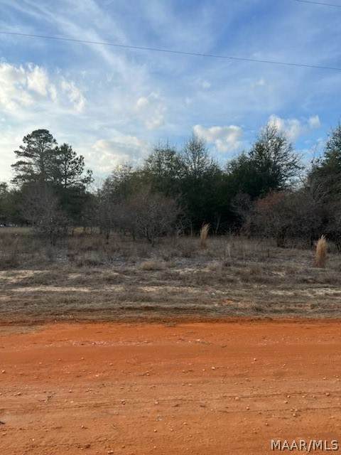 Lot 43 Deer Loop - Photo 1