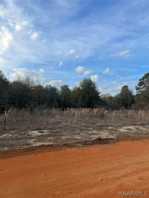 Lot 45 Deer Loop - Photo 1
