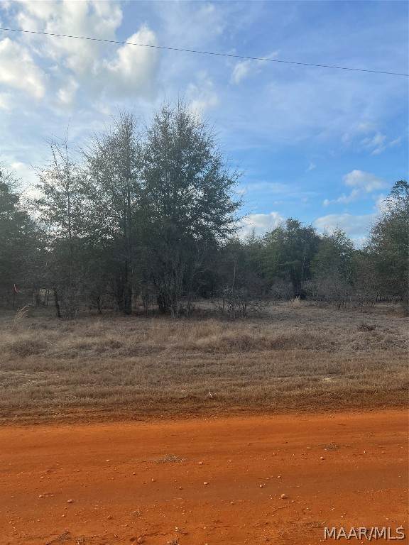 Lot 48 Deer Loop - Photo 1