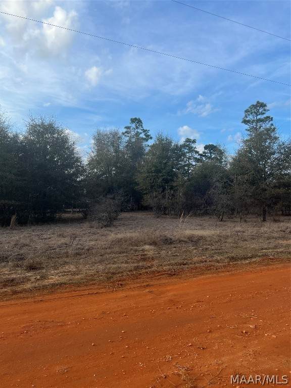 Lot 49 Deer Loop - Photo 1