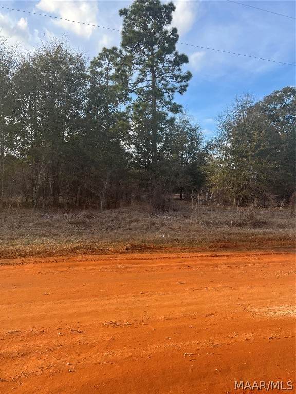 Lot 50 Deer Loop - Photo 1