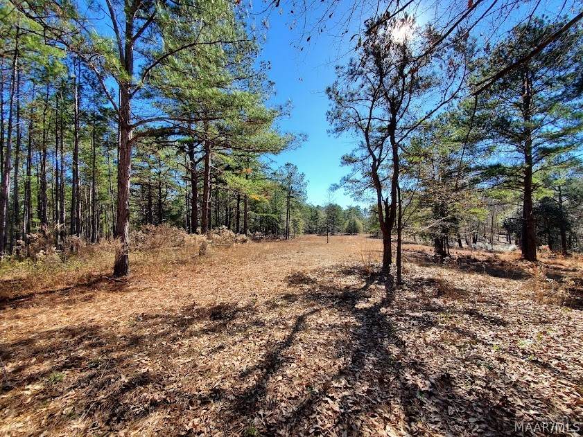 5.14 ACRES Chestnut Lane - Photo 1