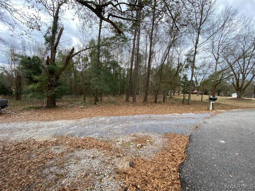 464 Old Campbell Road - Photo 1