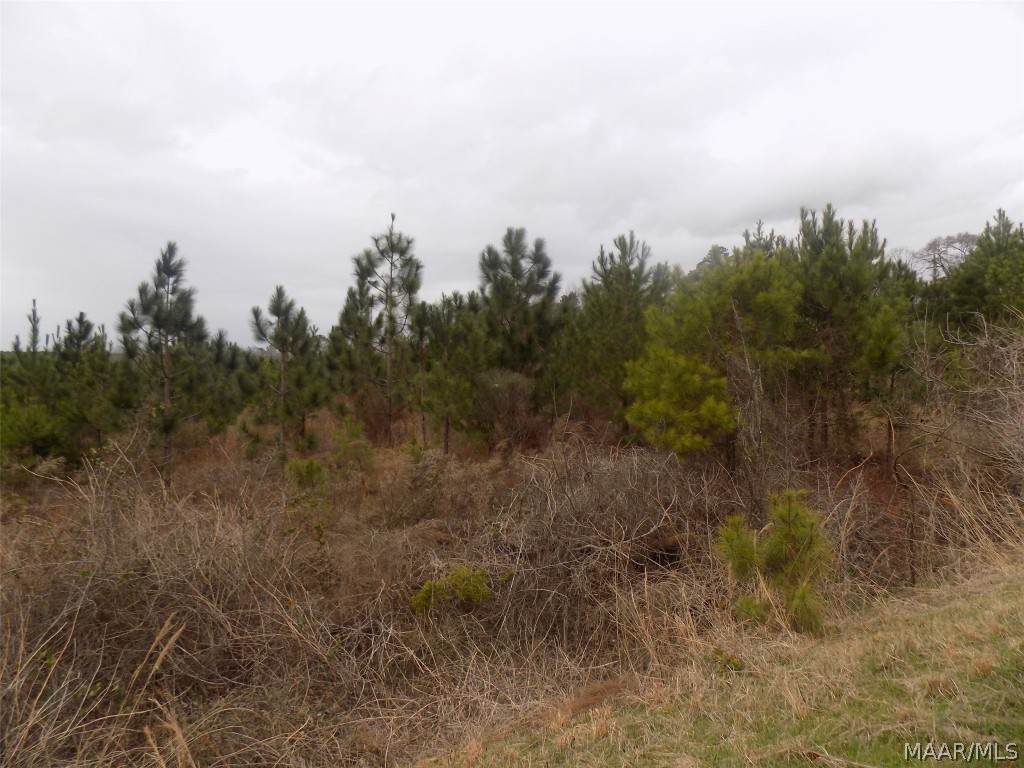LOT 1 County Road 72 - Photo 1