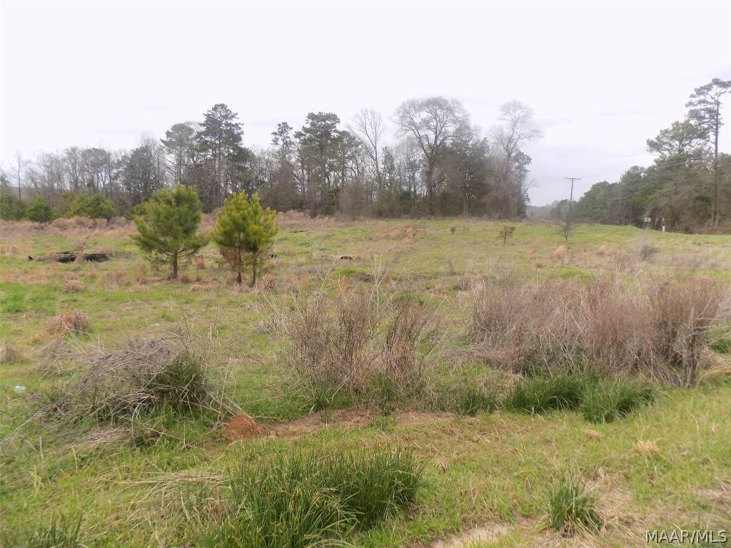 LOT 2 County Road 72 - Photo 1