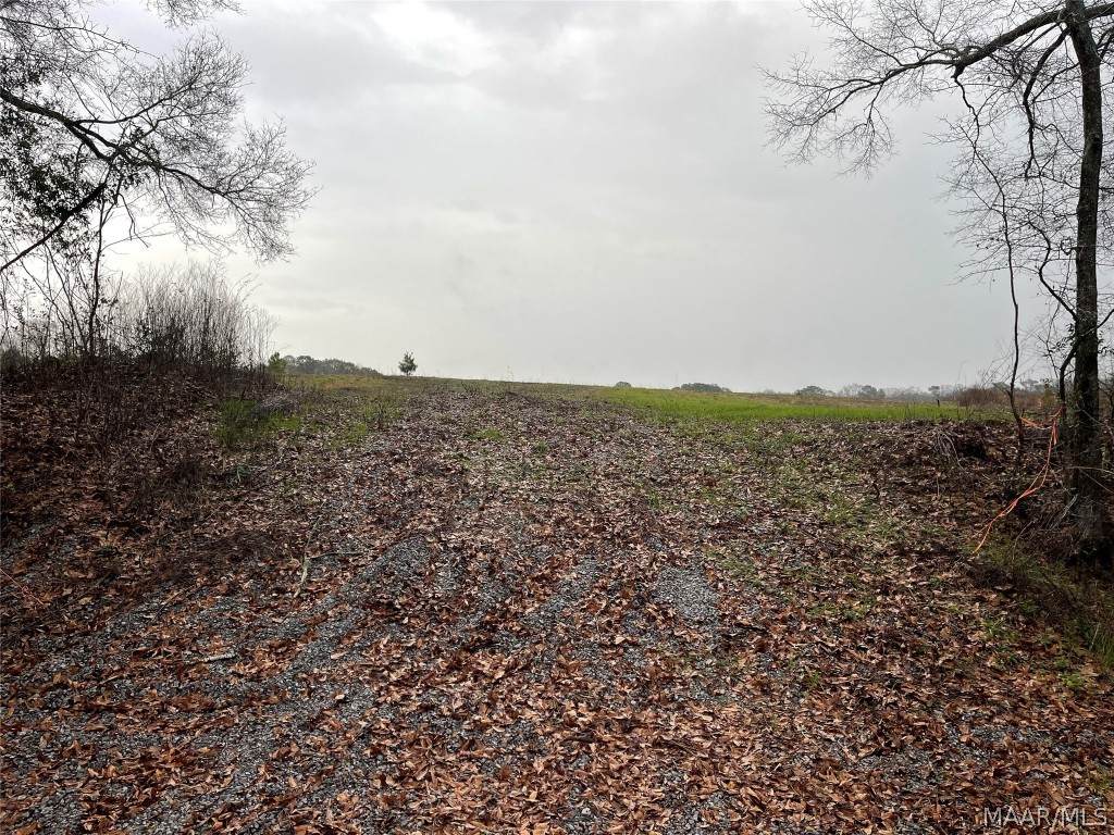 0 County Road 11 - Photo 1