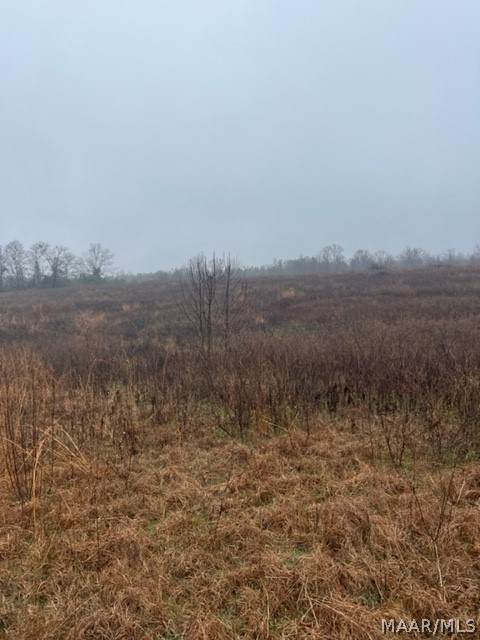 0 County Road 99 - Photo 1