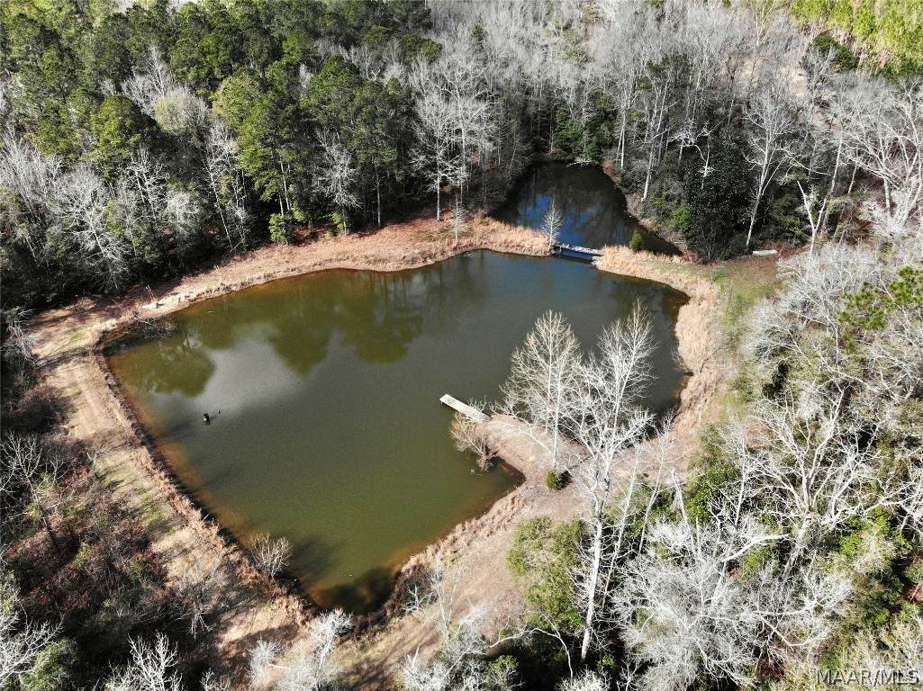 70ac County Road 15 - Photo 1