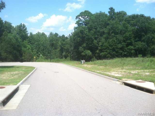 410 B-5 Lincoln Street - Photo 1