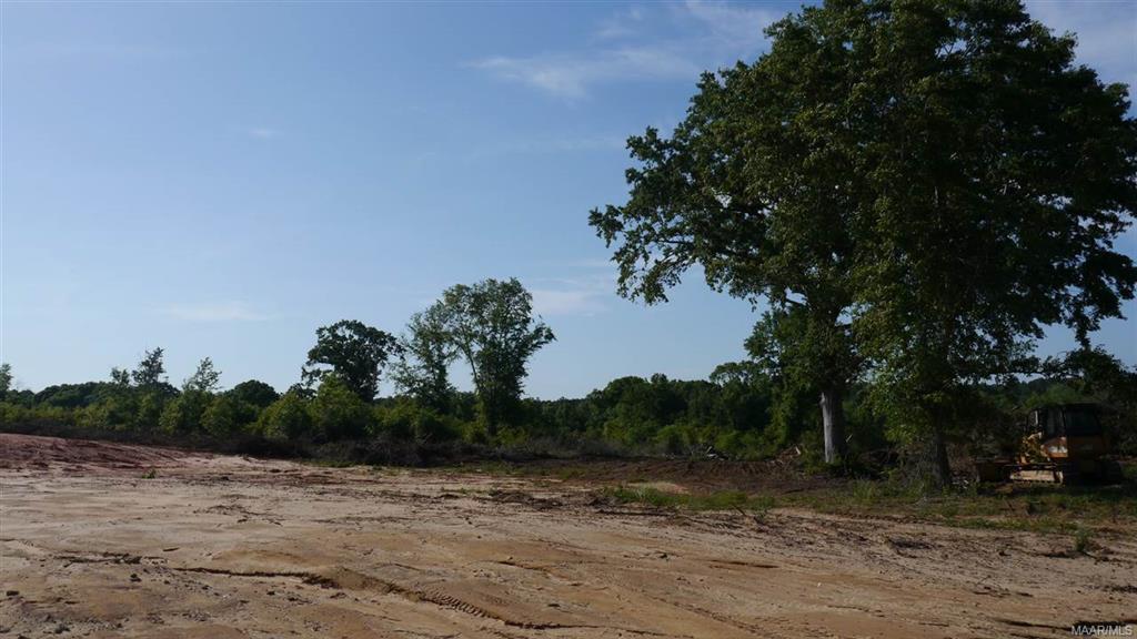 TBD County Road 266 (Lot 3) - Photo 1