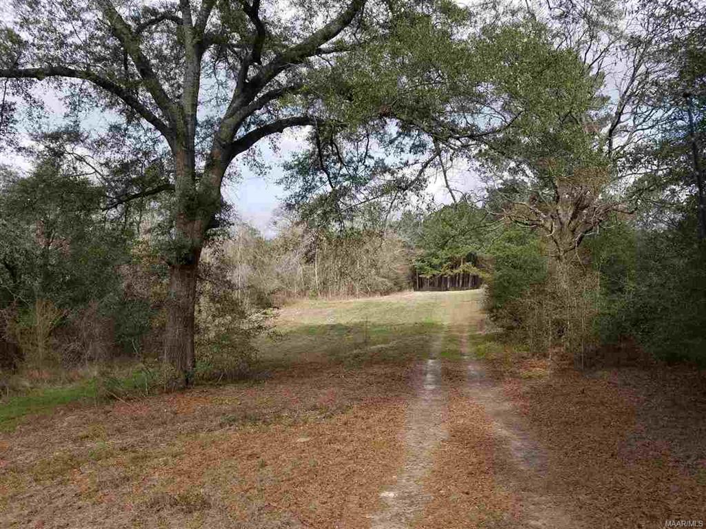 0000 County Road 30 - Photo 1