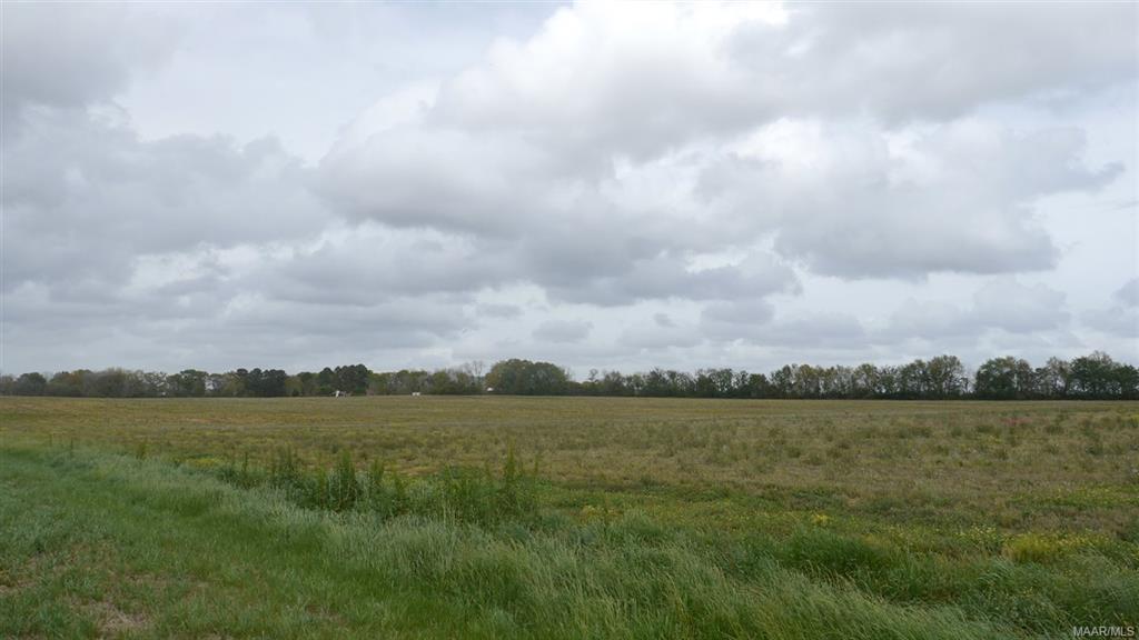 TBD County Road 712 (Lot 1) - Photo 1