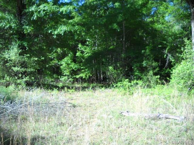 498 County Road 211 - Photo 1