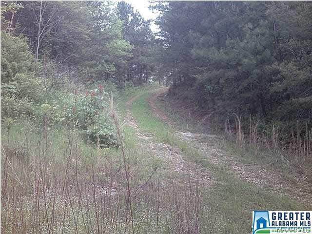 5 County Road 919 - Photo 1