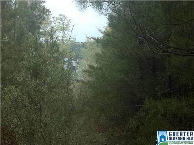 2 County Road 919 - Photo 1