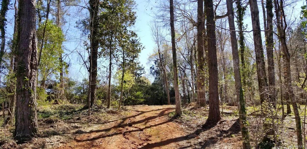 3 Acres Roy Parker Road - Photo 1