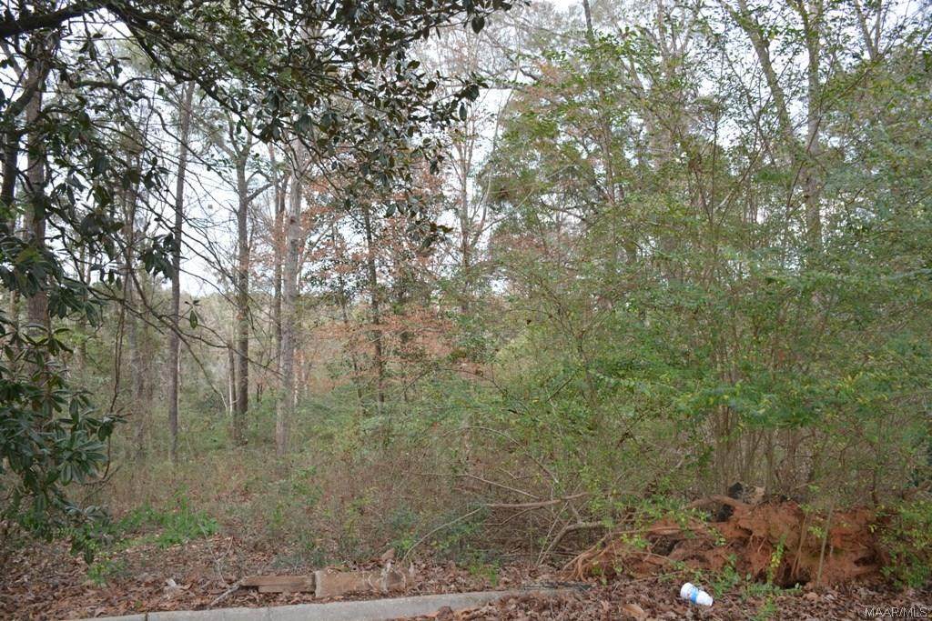 TBD Montevallo Court - Photo 1