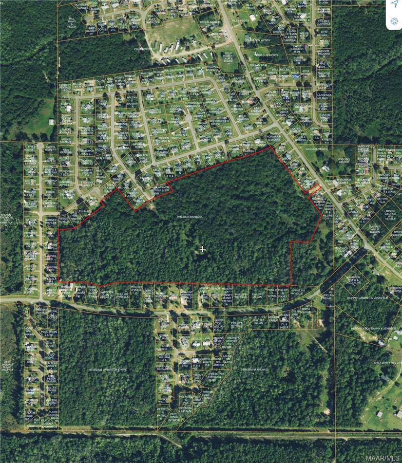 0 Will Logan Road - Photo 1