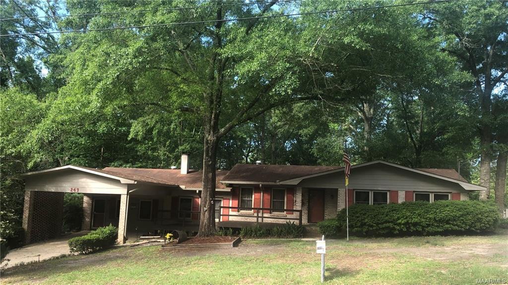 247 Briarcliff Road - Photo 1