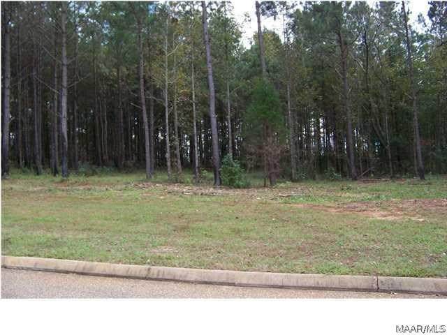 LOT G 2 Longleaf Lane - Photo 1