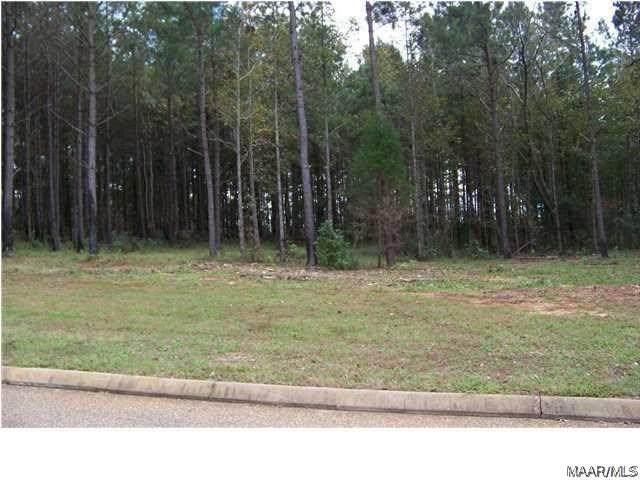 LOT #7B White Oak Way - Photo 1