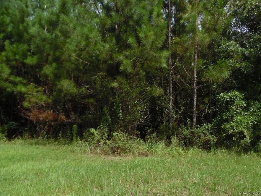 000 Daisy Lane - Photo 1