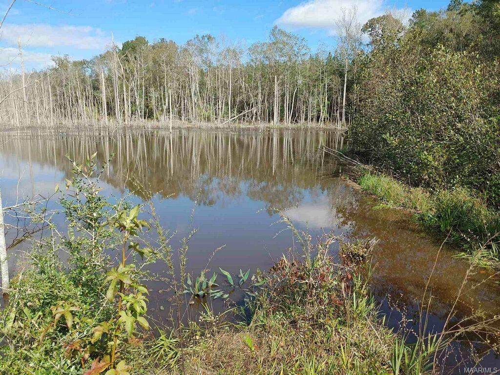 0 County Road 64 - Photo 1