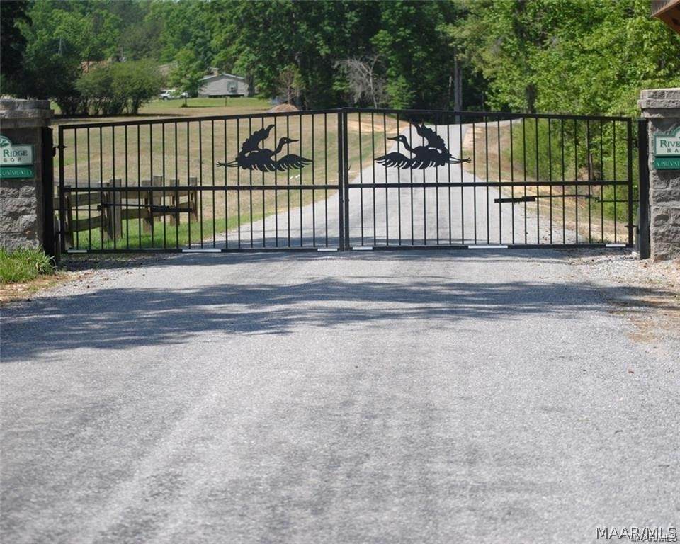 1060 Herons Cove - Photo 1