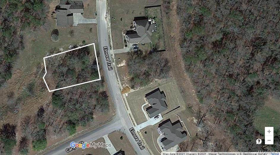 339 Elmore Trail - Photo 1